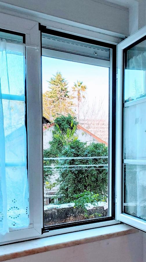 Apartment Alegramente