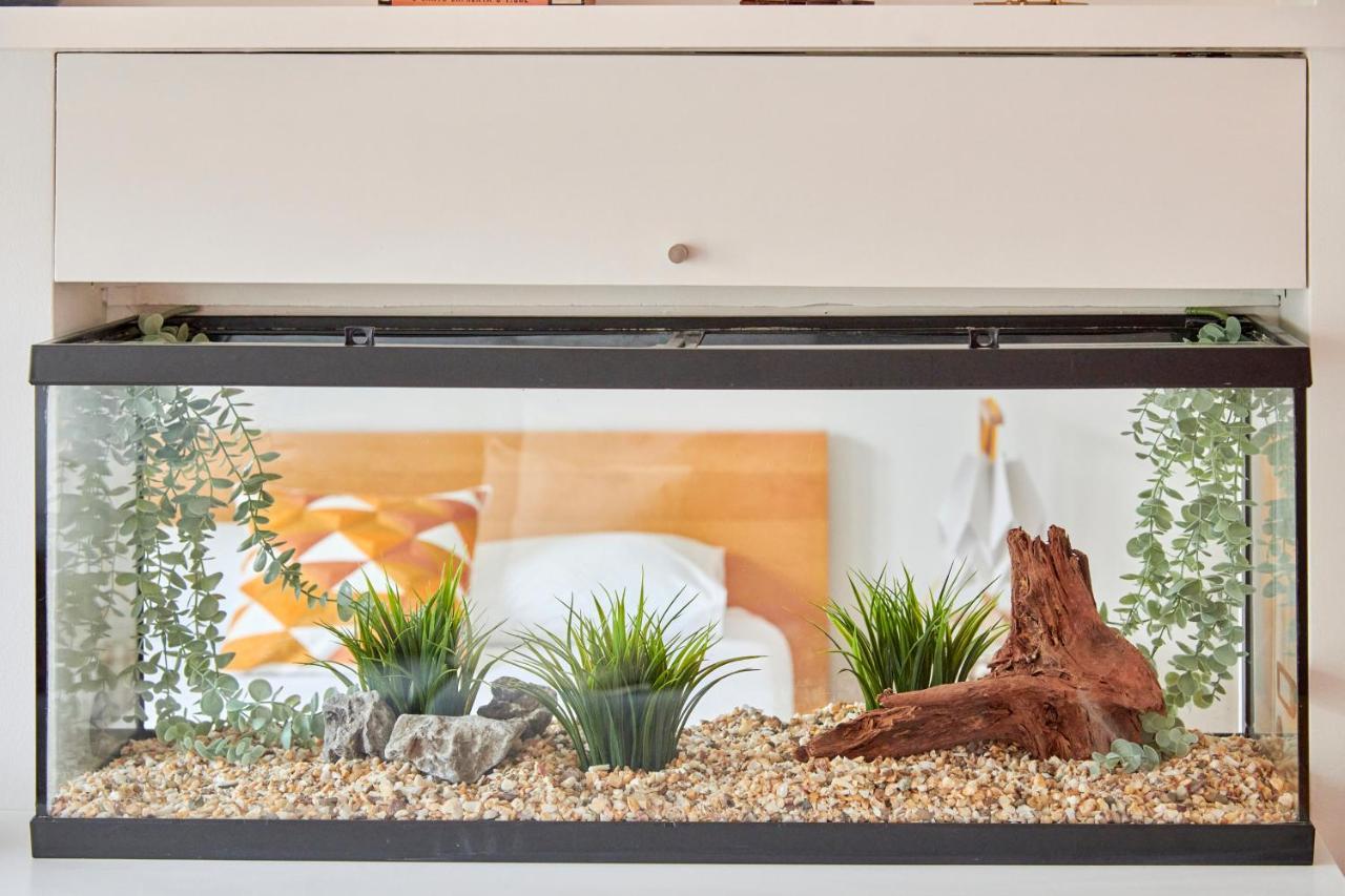 Sunny Renovated With Ac, By Timecooler *