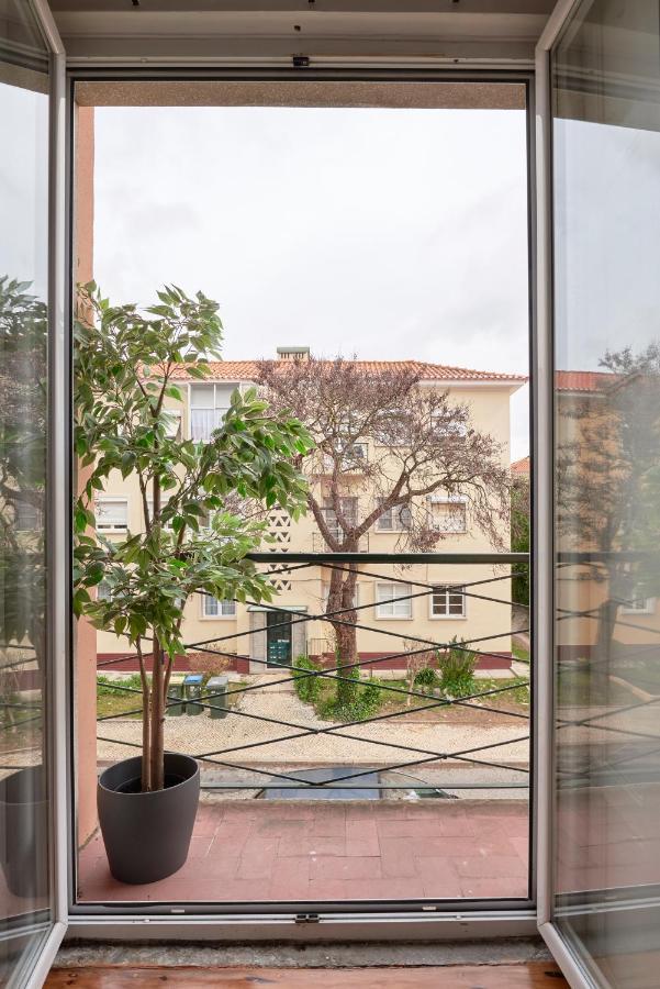 Sunny Renovated With Ac, By Timecooler Apartment *