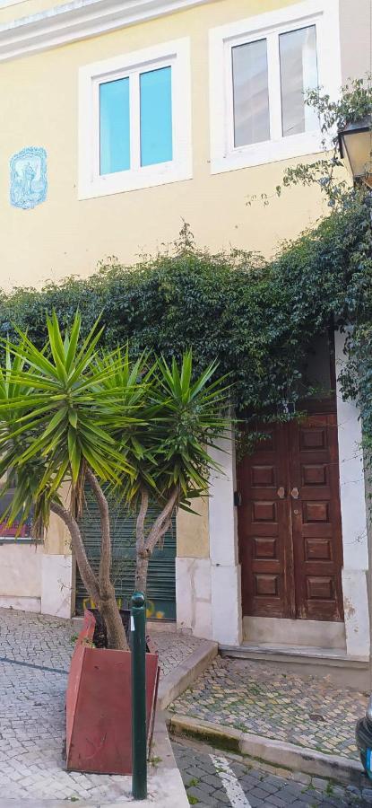Apartment New Charming Flat - Center Lisbon