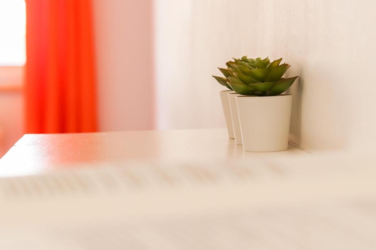 Downtown Palma By Hosty Guest house