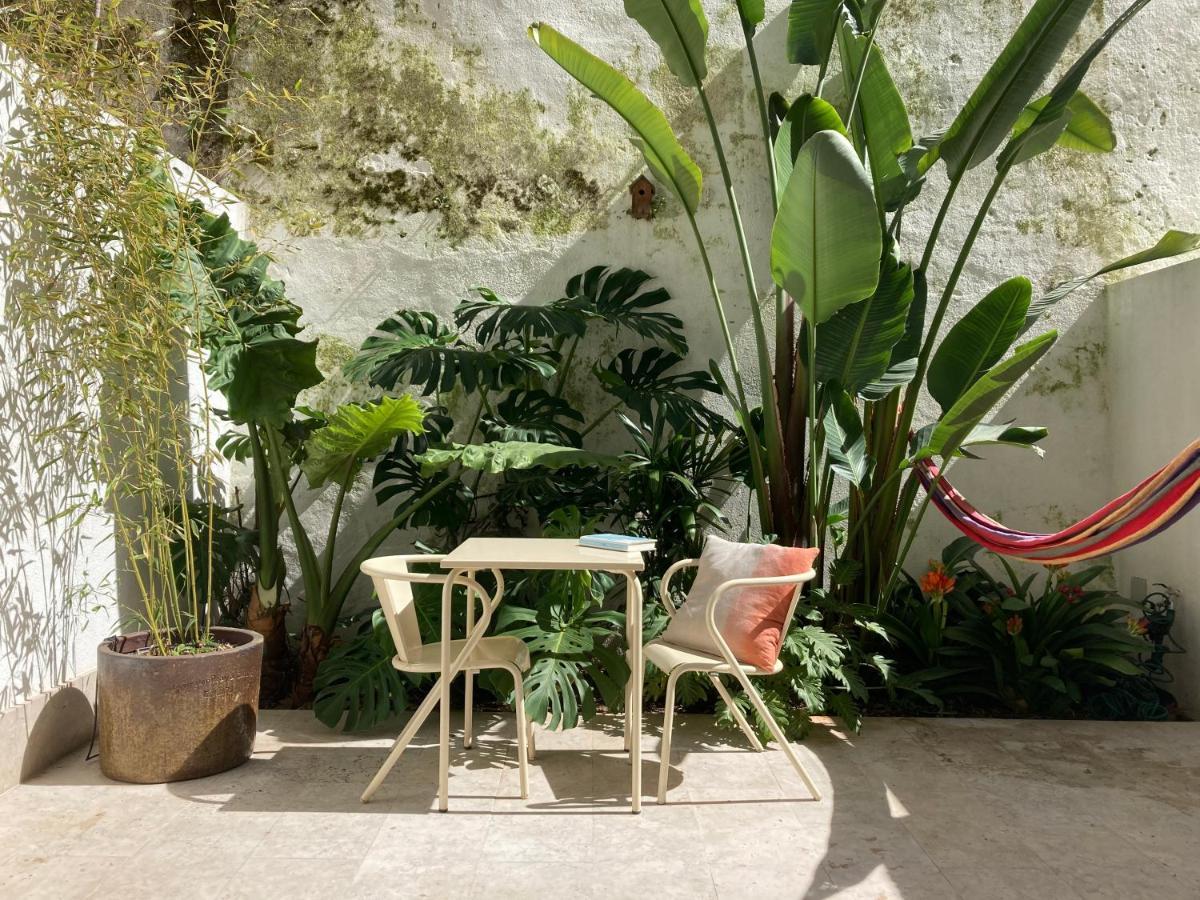 Apartment The Monkey Flat Lisbon