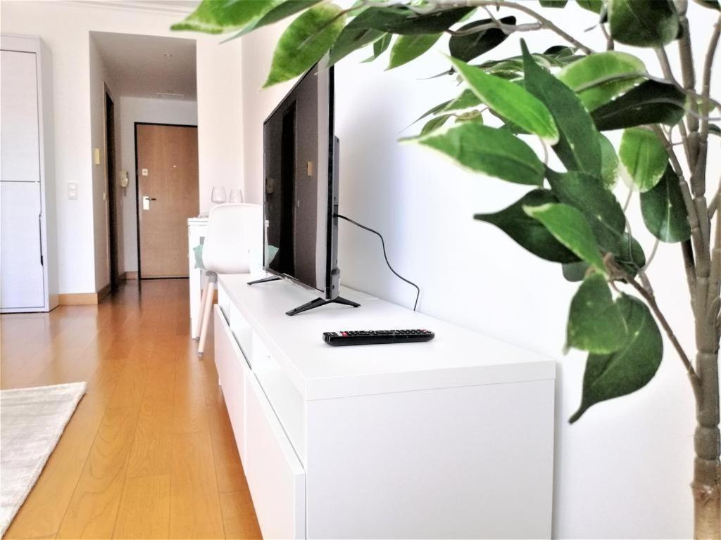 Carma's Place Apartment Lisbon