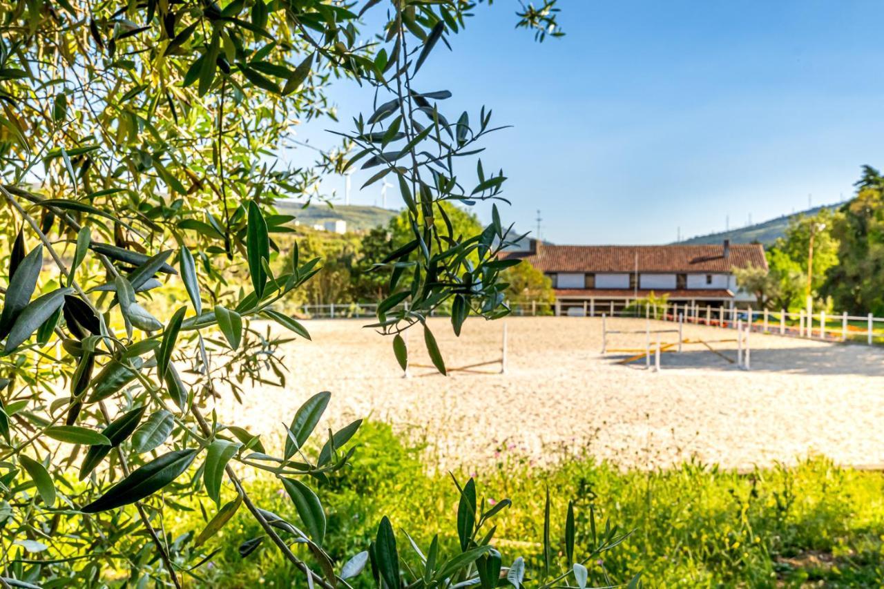 Quinta Do Boicao Holiday home Lisbon
