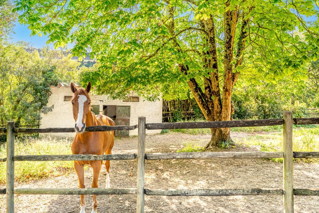Quinta Do Boicao Holiday home