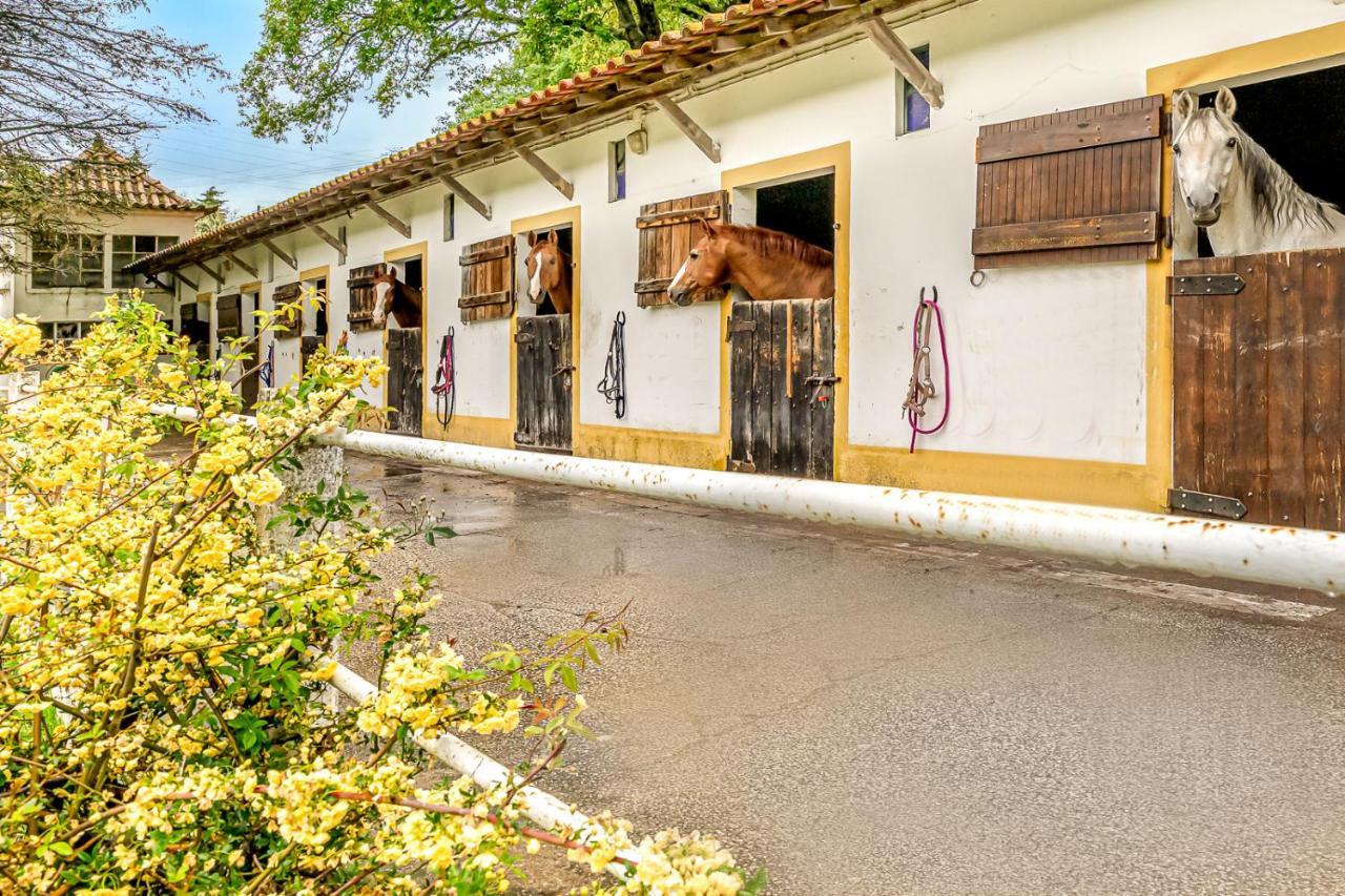 Holiday home Quinta Do Boicao *