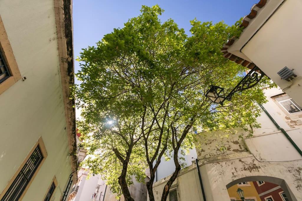 1e Brand New Right In The Heart Of Alfama Apartment Lisbon
