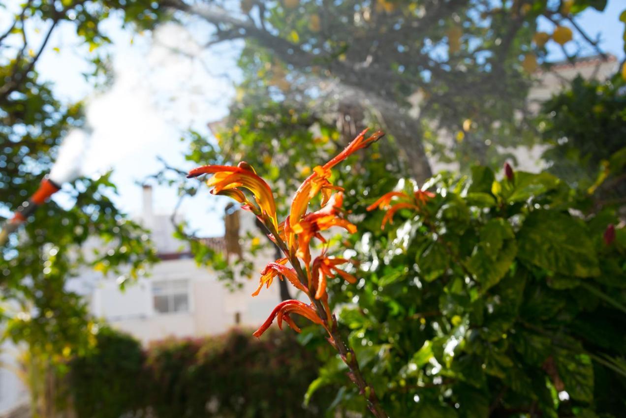Flat With A Garden In Belem Apartamento