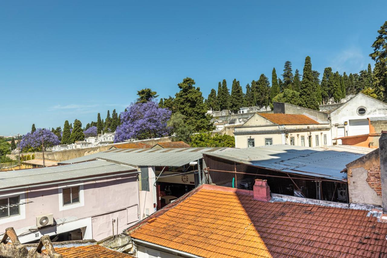 Apartment Comfy 3 Bedroom Campo De Ourique Lisbon