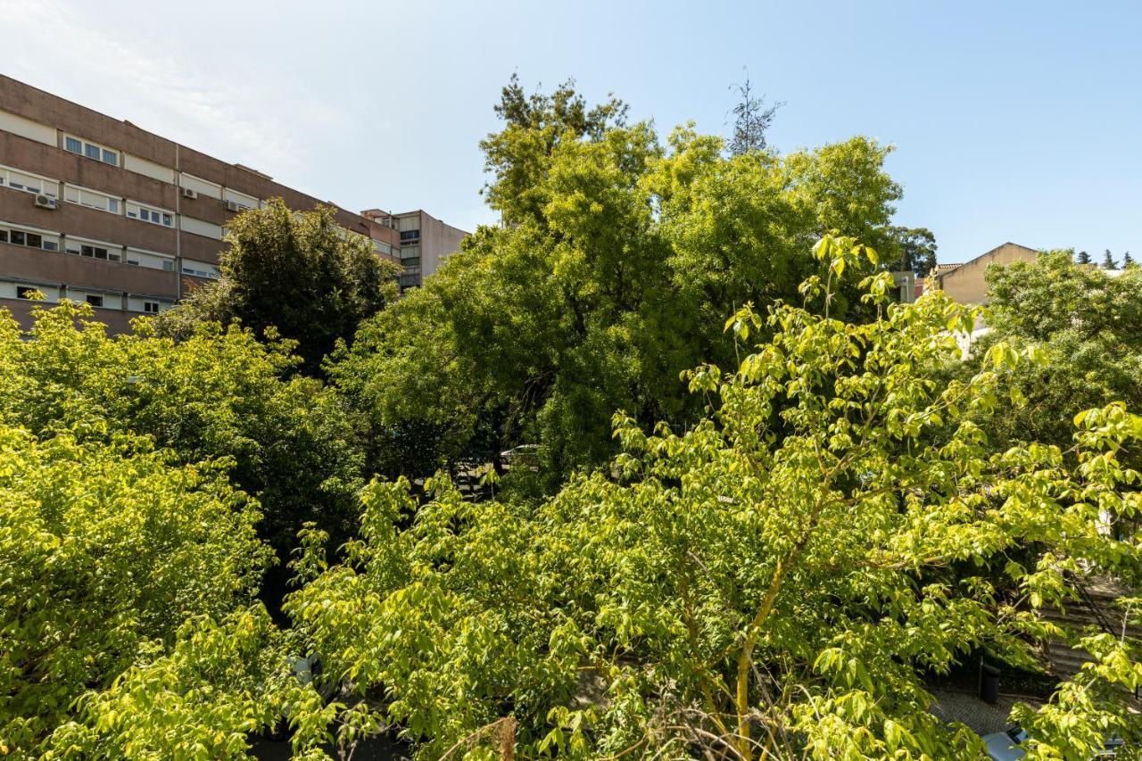 Comfy 3 Bedroom Campo De Ourique Apartment