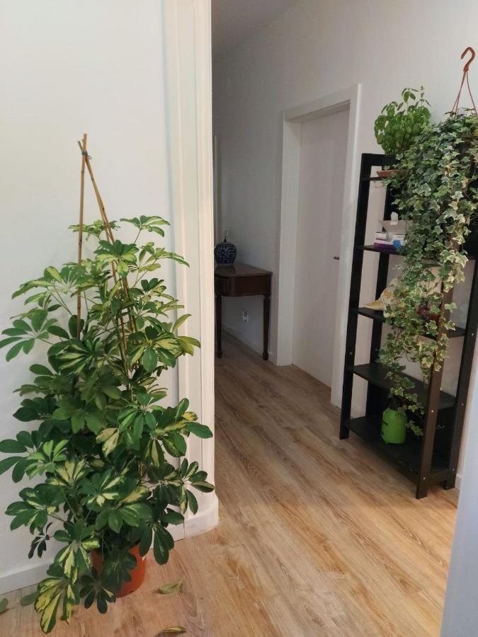 Hostel D&n Hospedagem-almirante Lisbon