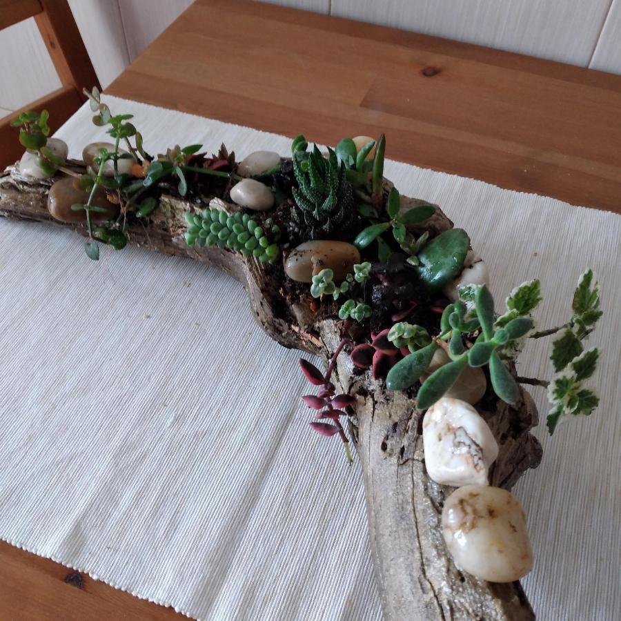 Divine House Of Graca Guest house Lisbon