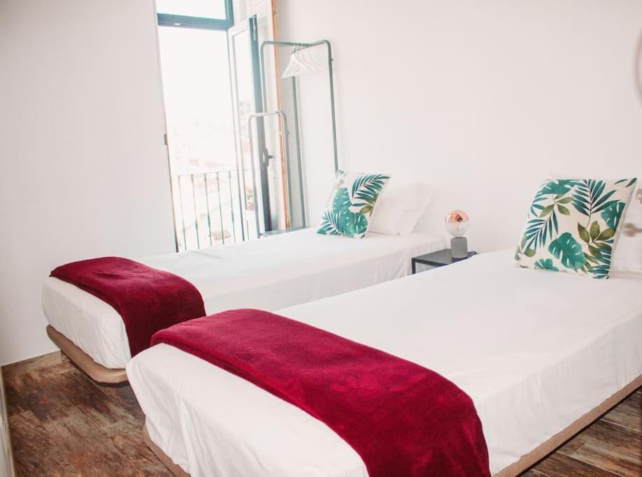 New Flat & Terrace Garden Monte Da Graca