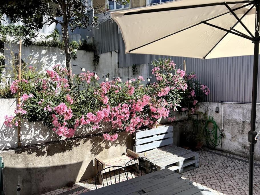 New Flat & Terrace Garden Monte Da Graca *