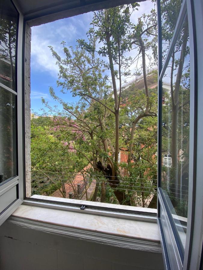 Casa Do Mocho Ii Apartment Lisbon