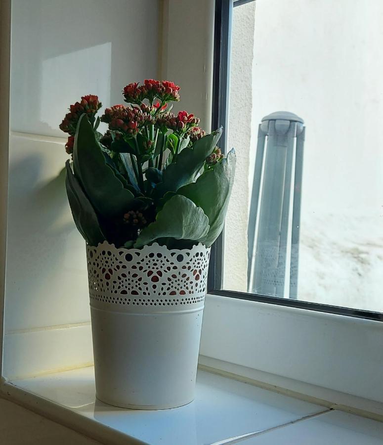 Studio Apartment Lisbon