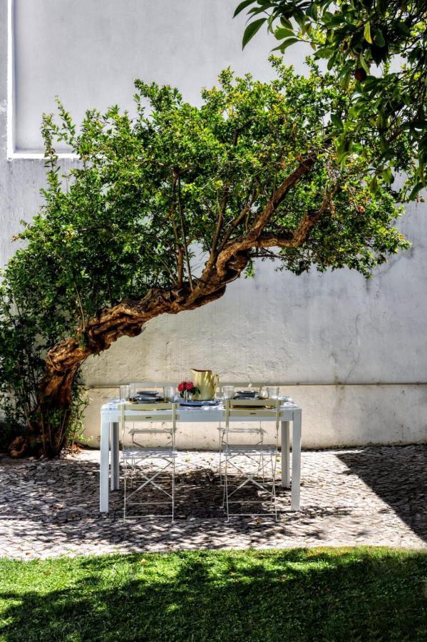 Secret Garden In Alfama Lisbon