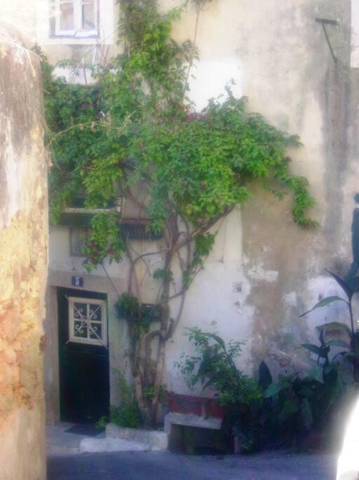 Sweet Alfama *