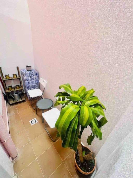 Apartment Graca *