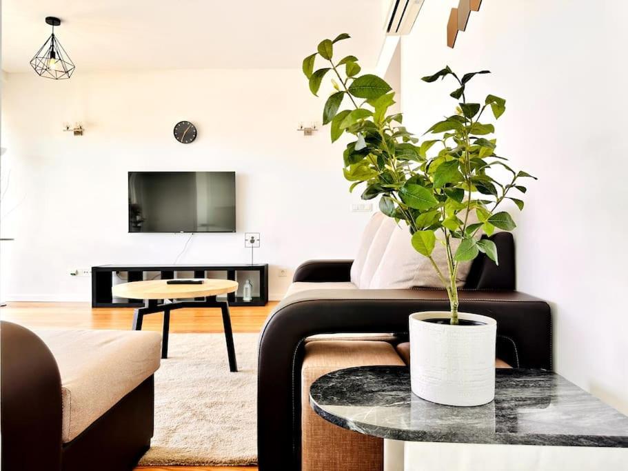 Luz Benfica Apartment Lisbon