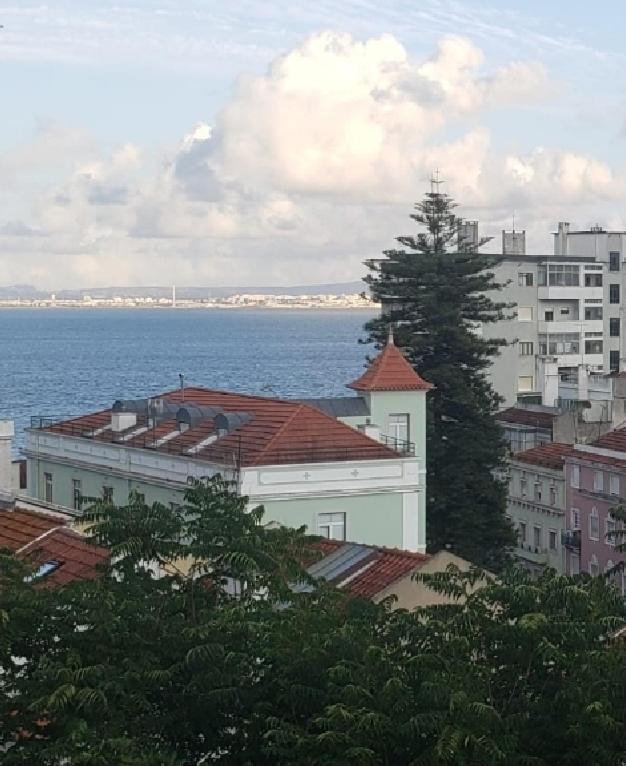 Sunny Double In A Shared Close To Downtown Homestay