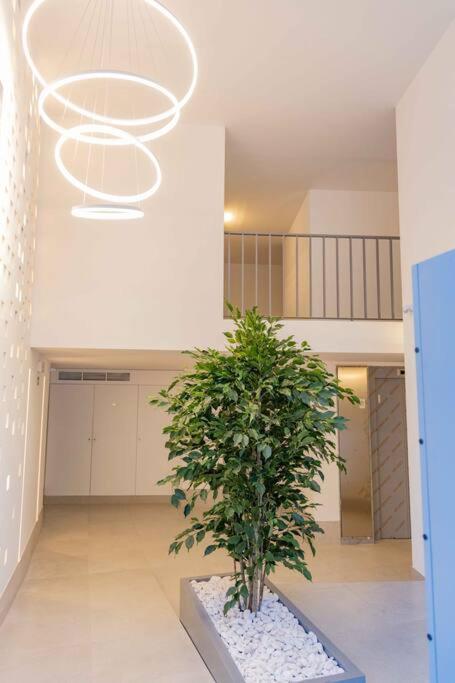 Apartment Stylish