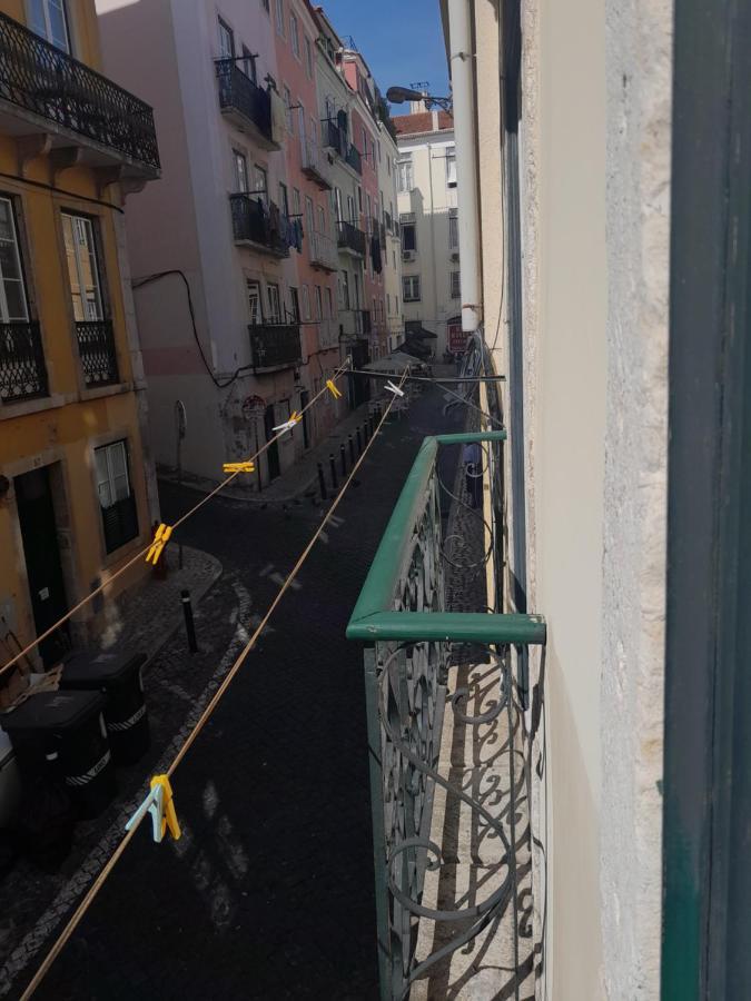 Chiado / Carmo Small Artist