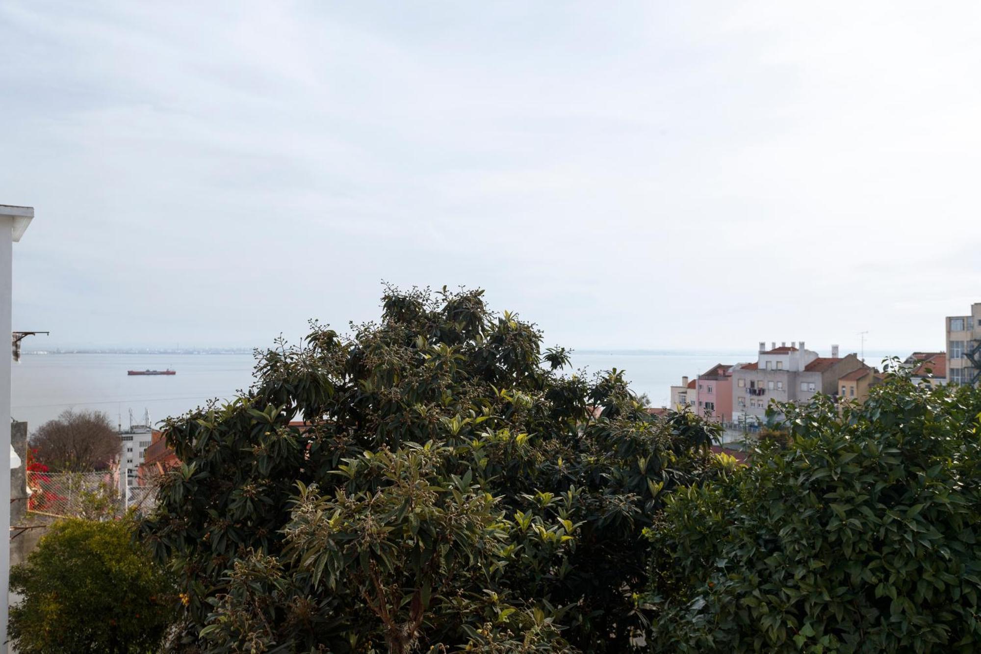 Barbadinhos In Historic Neighborhood *