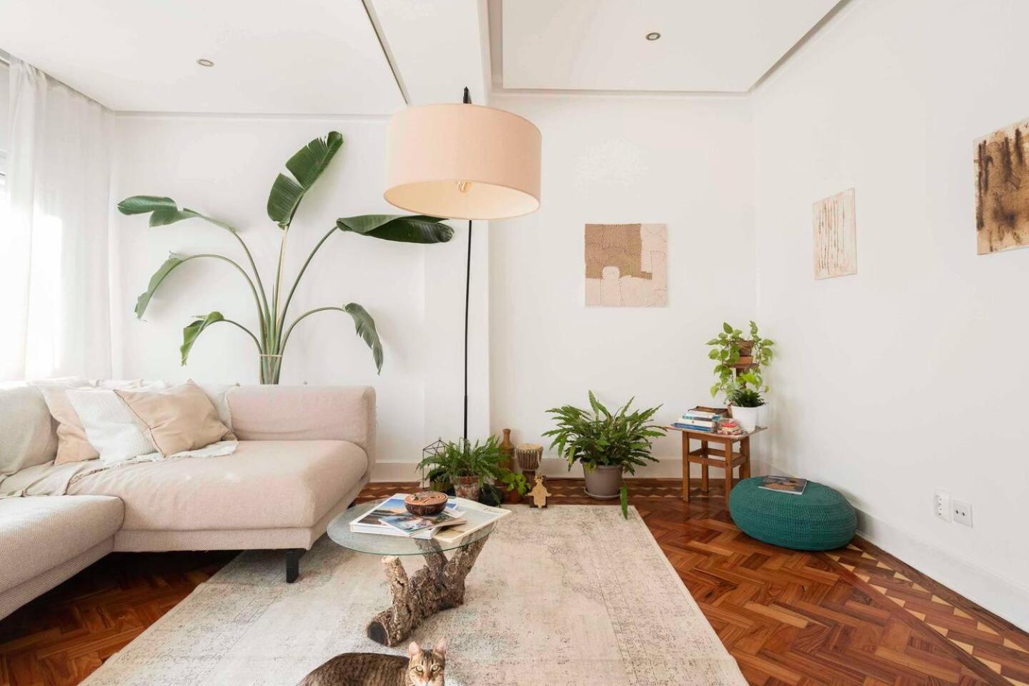 Soar L Marques De Pombal L Homestay *