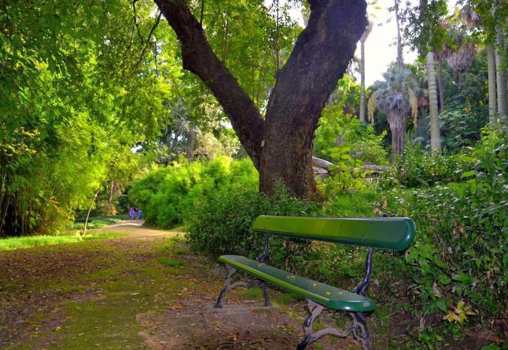 Dpj Romantic Jardim - Lift! - Pr.real/bairro Alto! * Lisbon