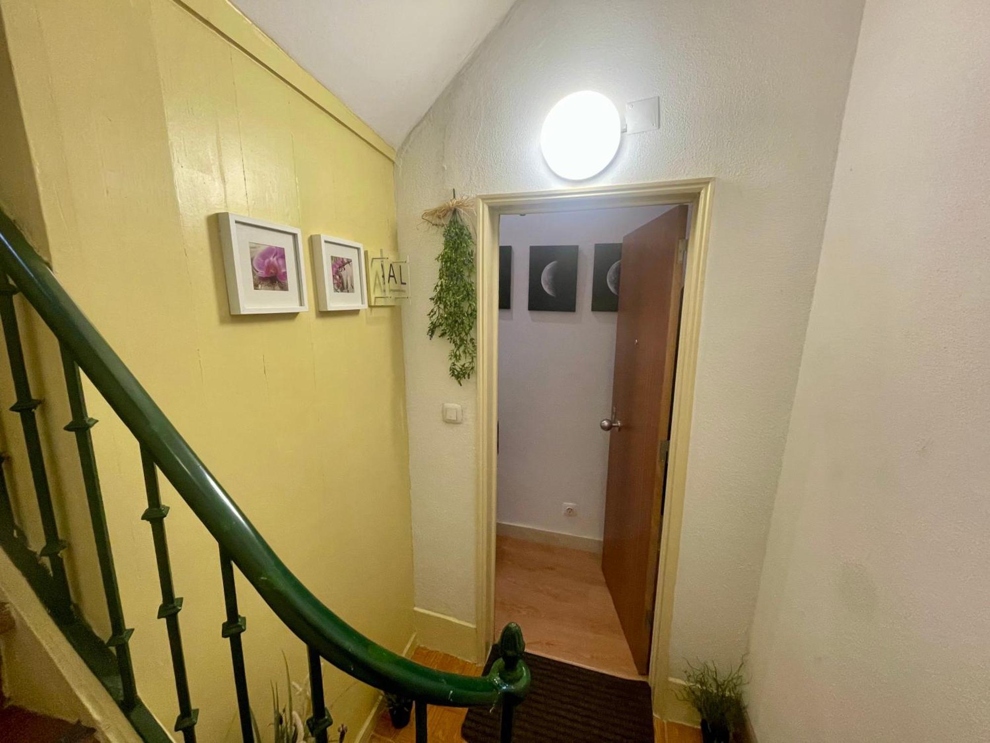 Sunny Orange Garden In Apartamento