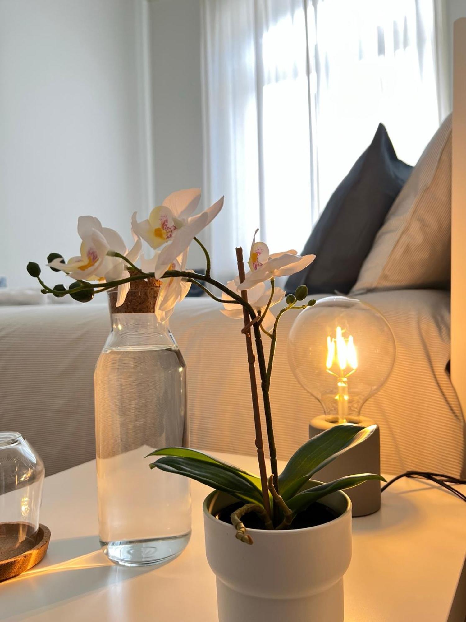 Guest house Cozy With Shared Bathroom On Rua Augusta Lisbon
