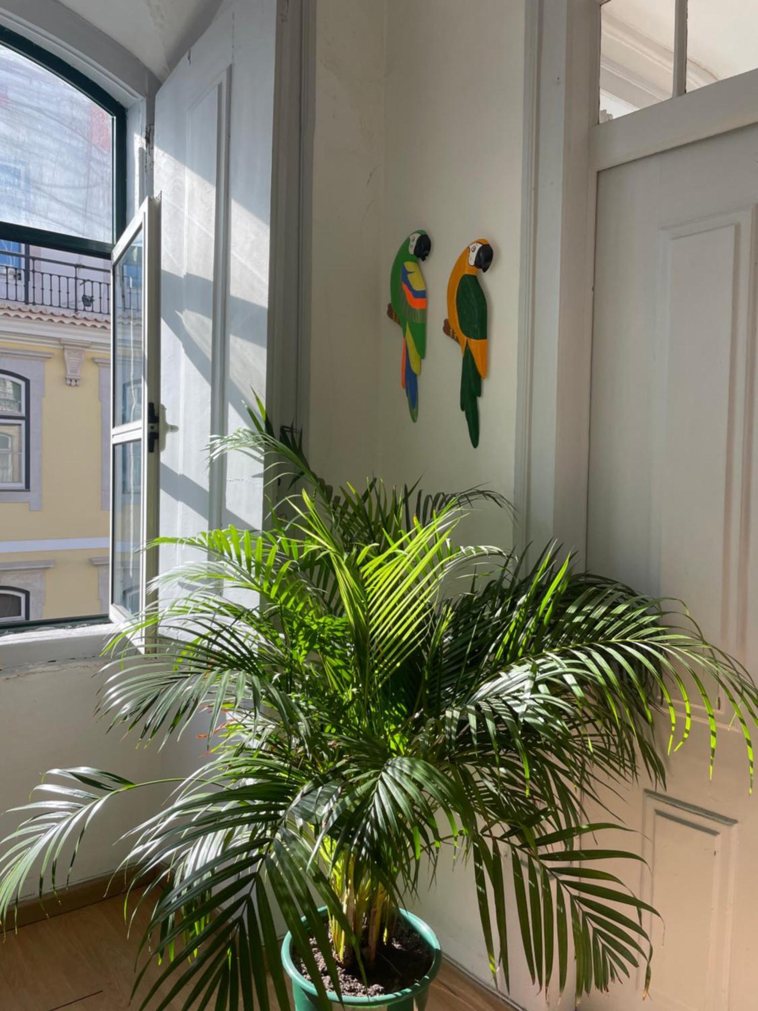 Chiado Guest house