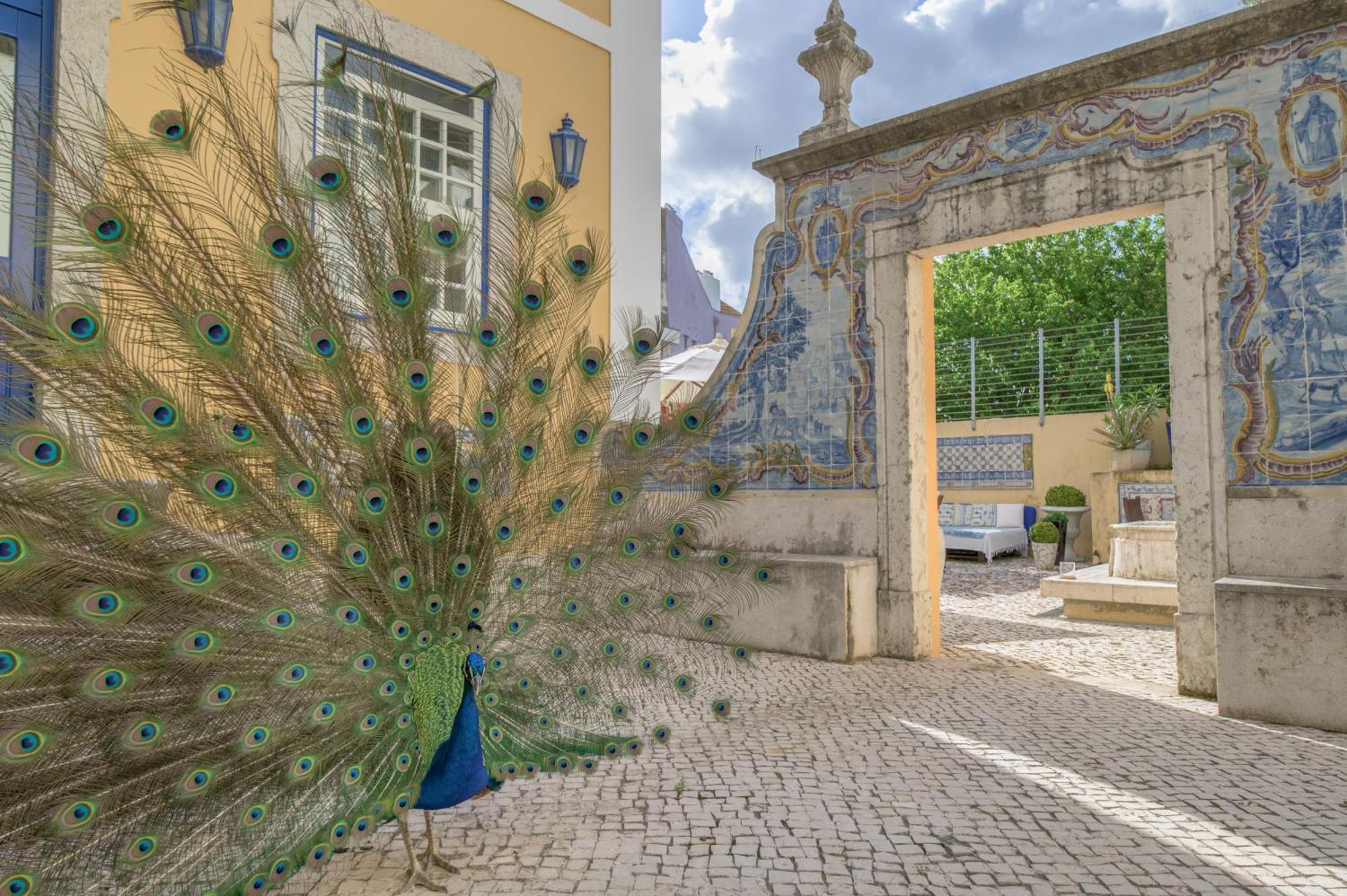 Solar Do Castelo - Heritage Collection - Alfama 4* Lisboa