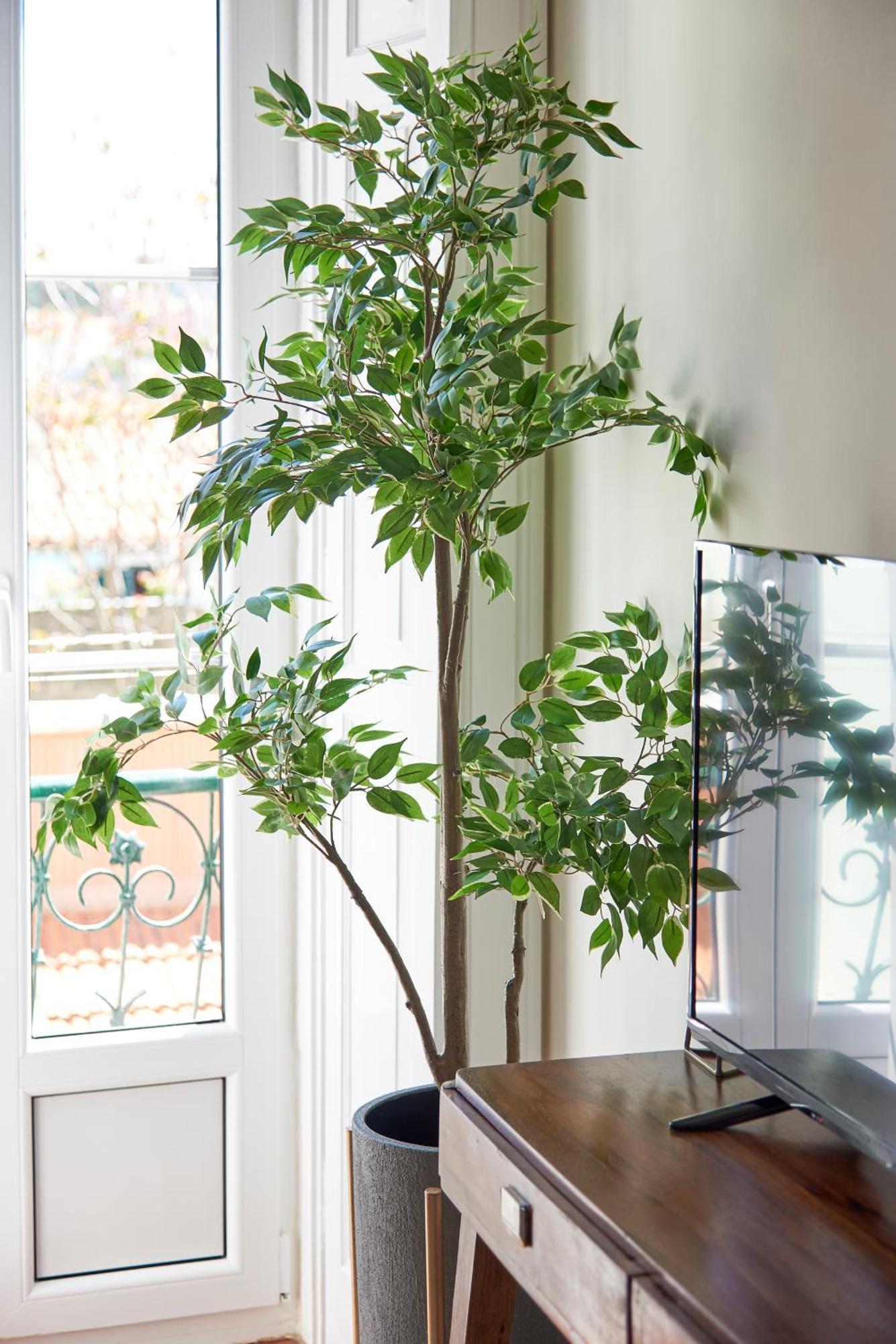 Apartamento Elegant Santana Lisboa