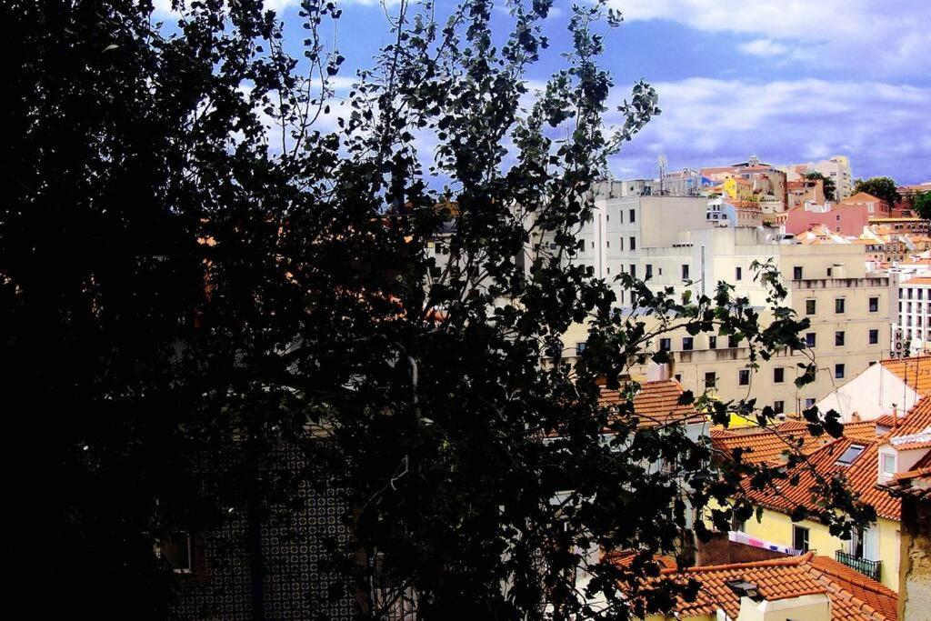Apartment Casa Dos Trigueiros I Lisbon
