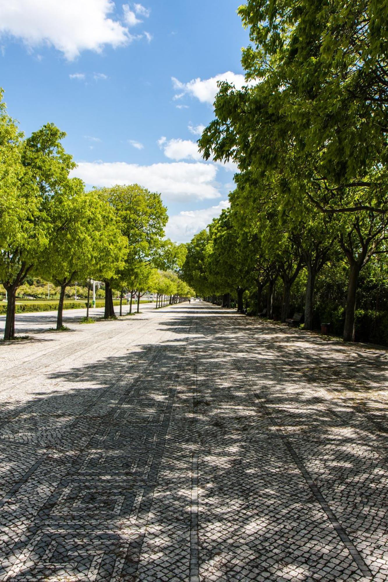 Hotel Central Park & Lisboa