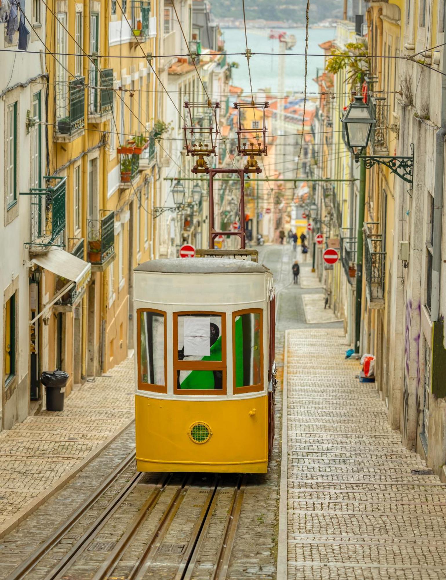 Central Park & Lisboa