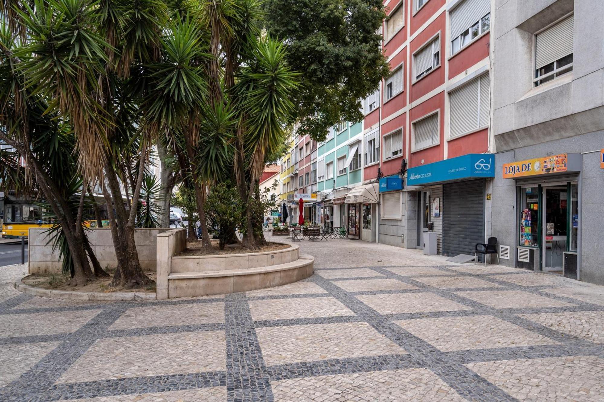 Akicity Benfica Serene Lisbon