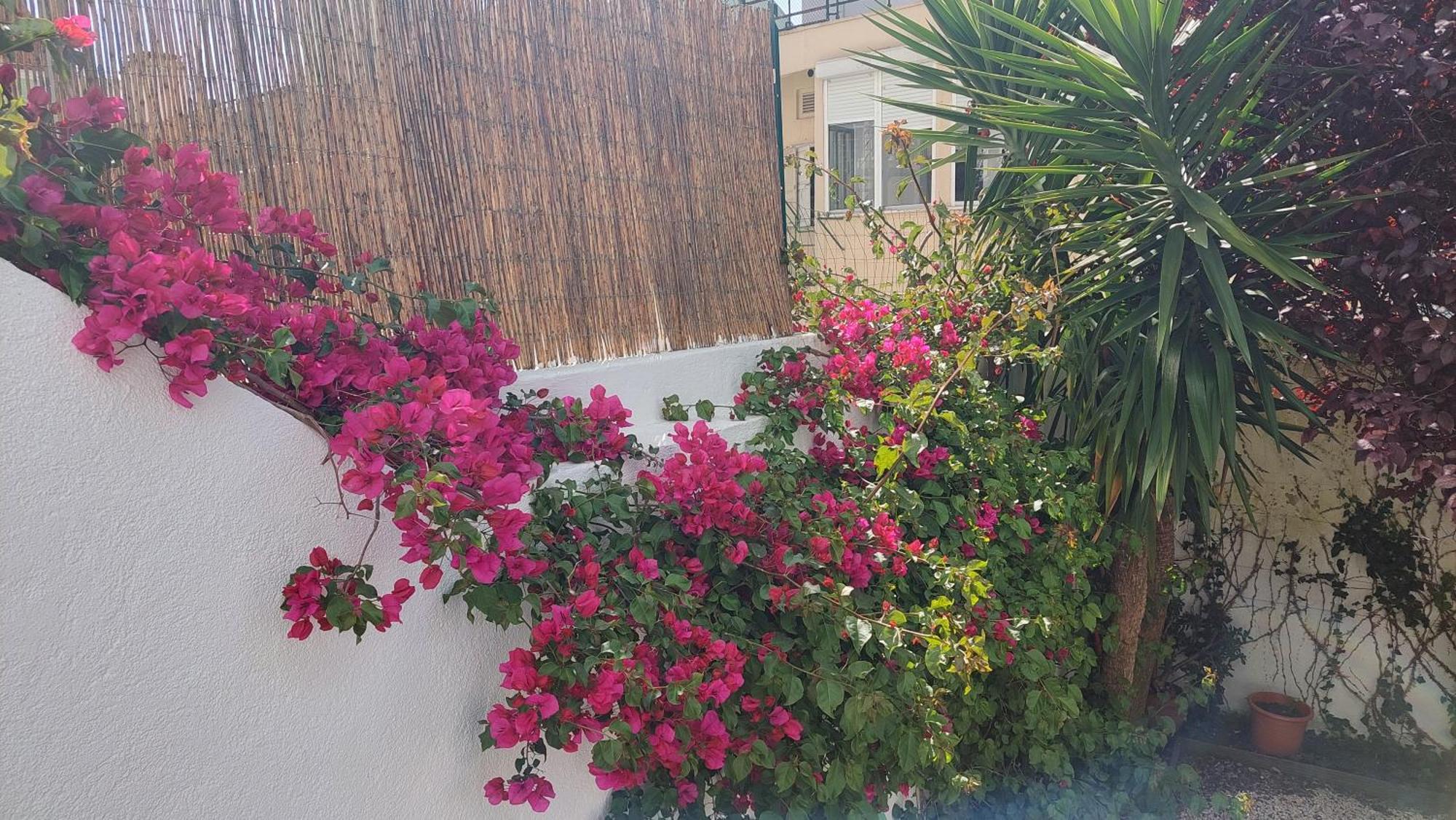 Apartamento With Private Garden - Location *