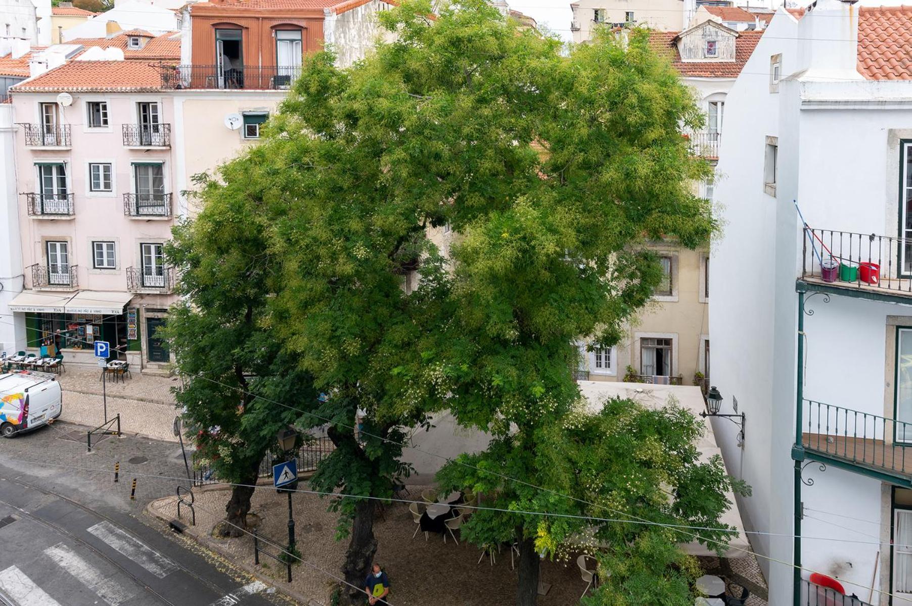 Apartamento Portas Do Ceu