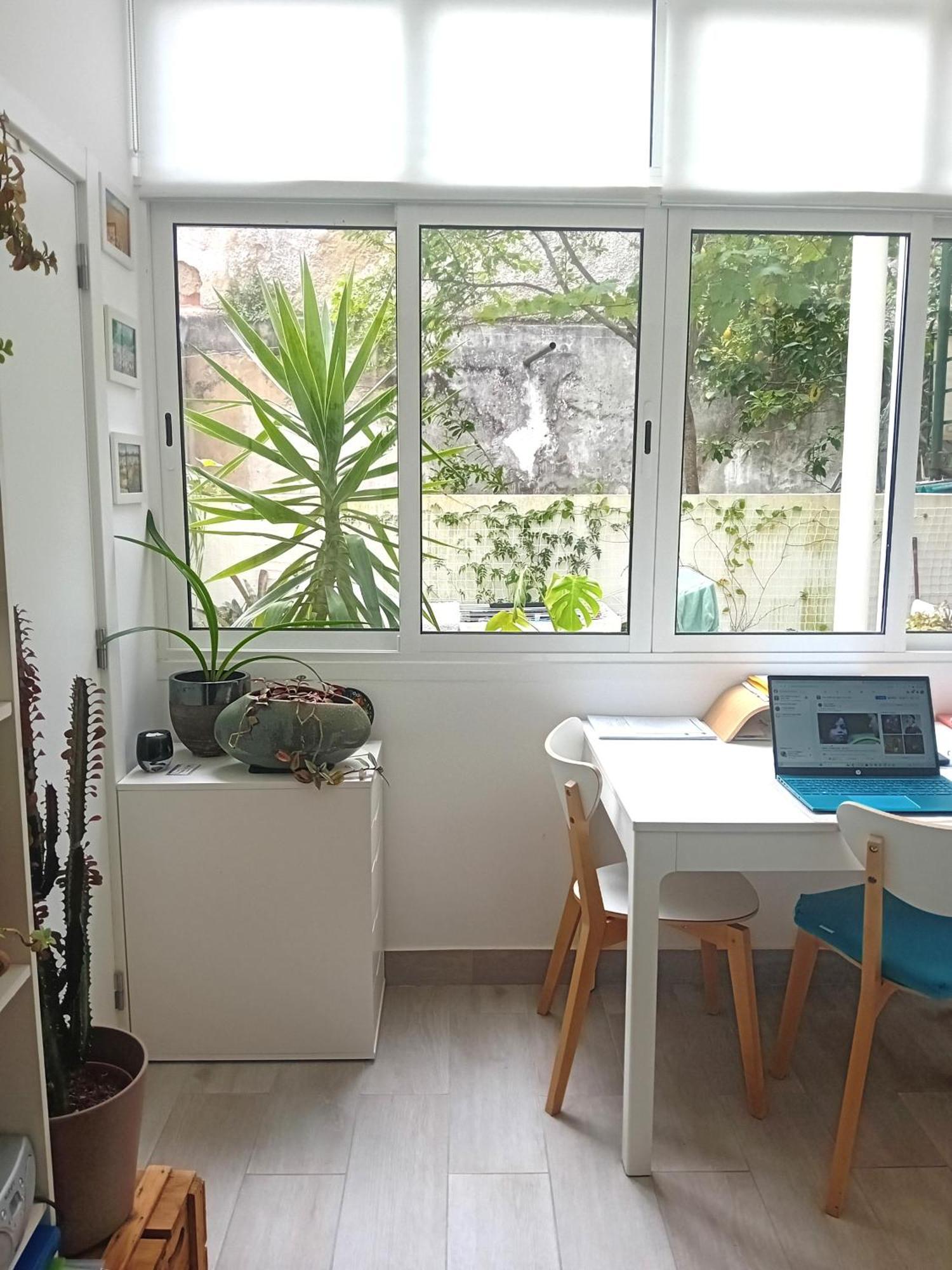 Cozy & Comfortable In Apartment *