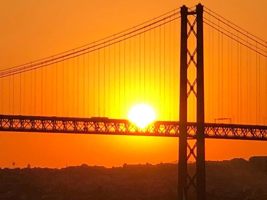 Amalia * Lisbon
