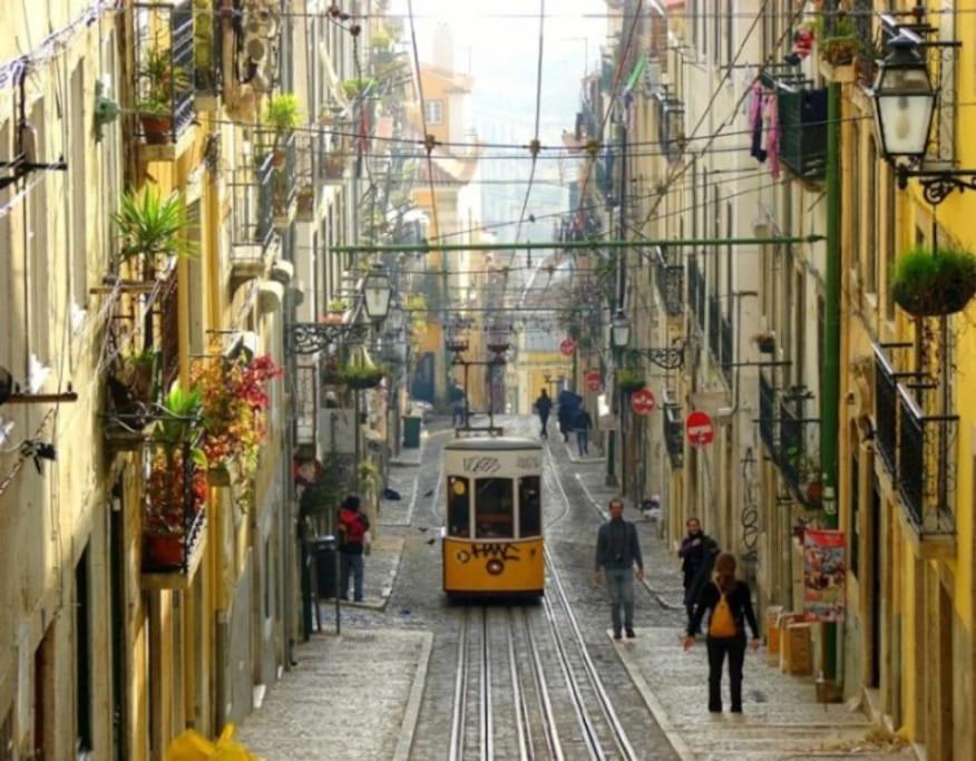 Apartment Amalia Lisbon