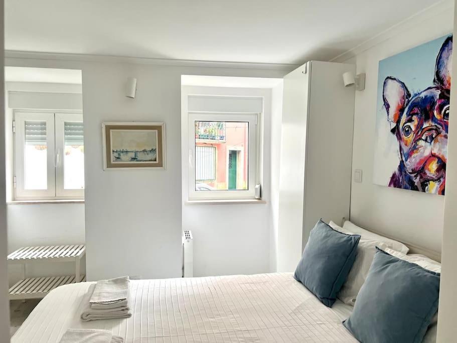 Reg Apartment