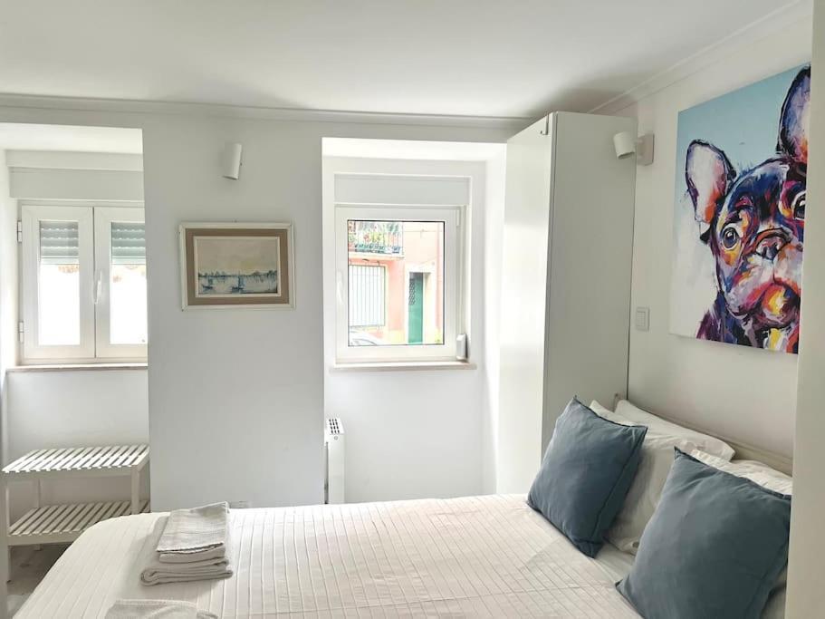 Reg Apartment
