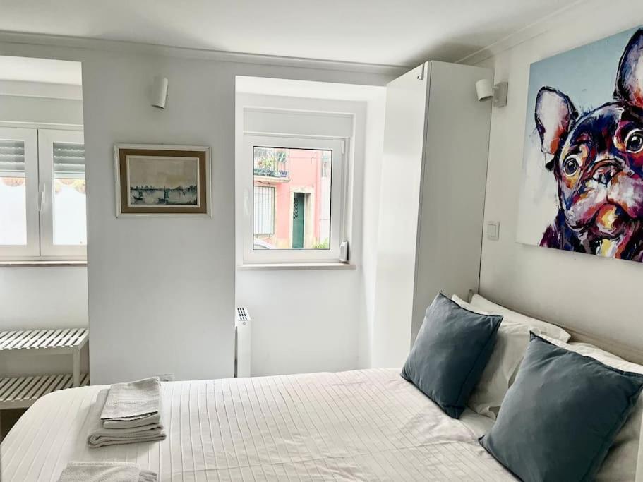 Reg Apartment *