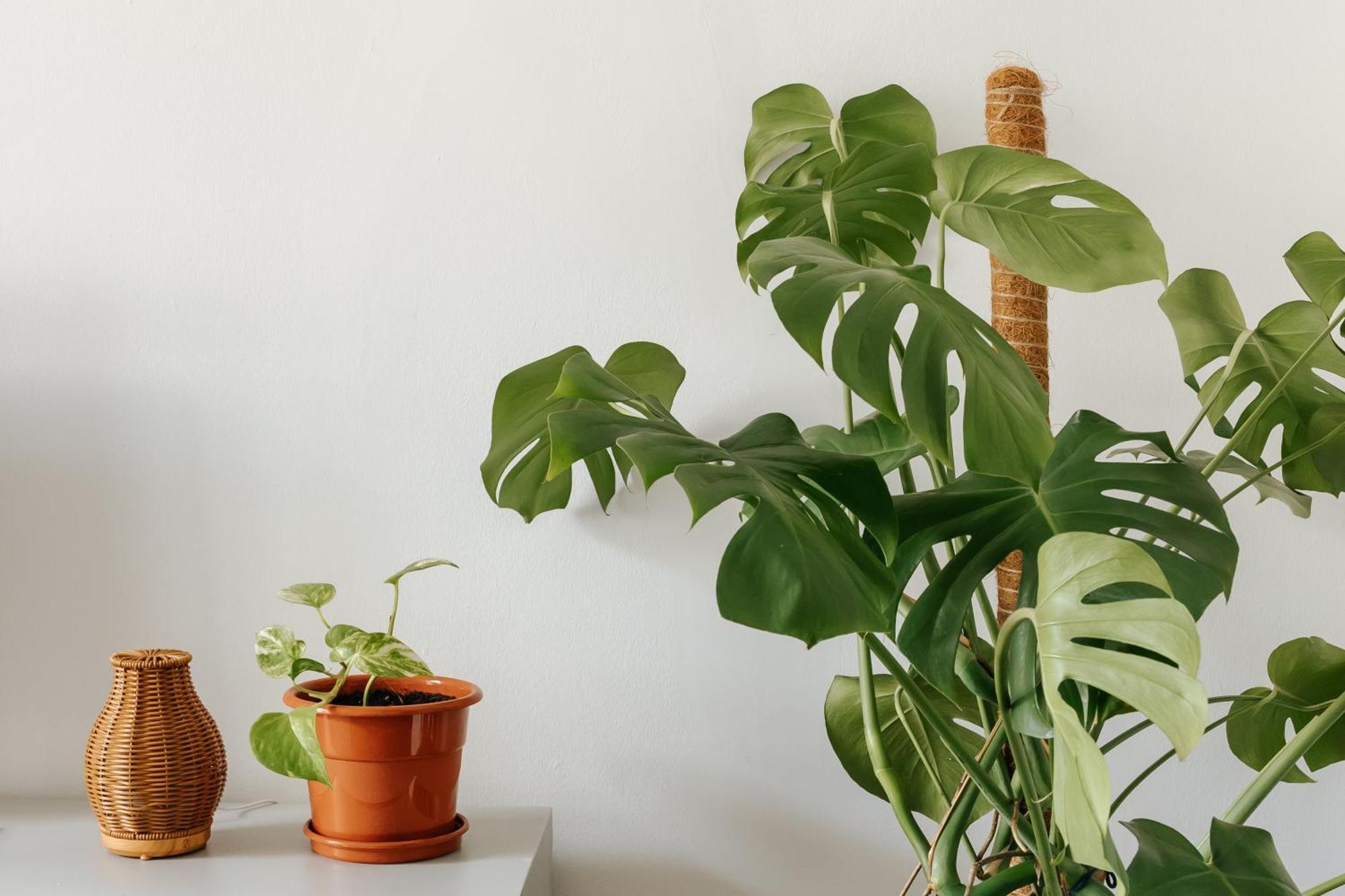 Apartment Diogo's Alcantara I By Mycelia Lisbon