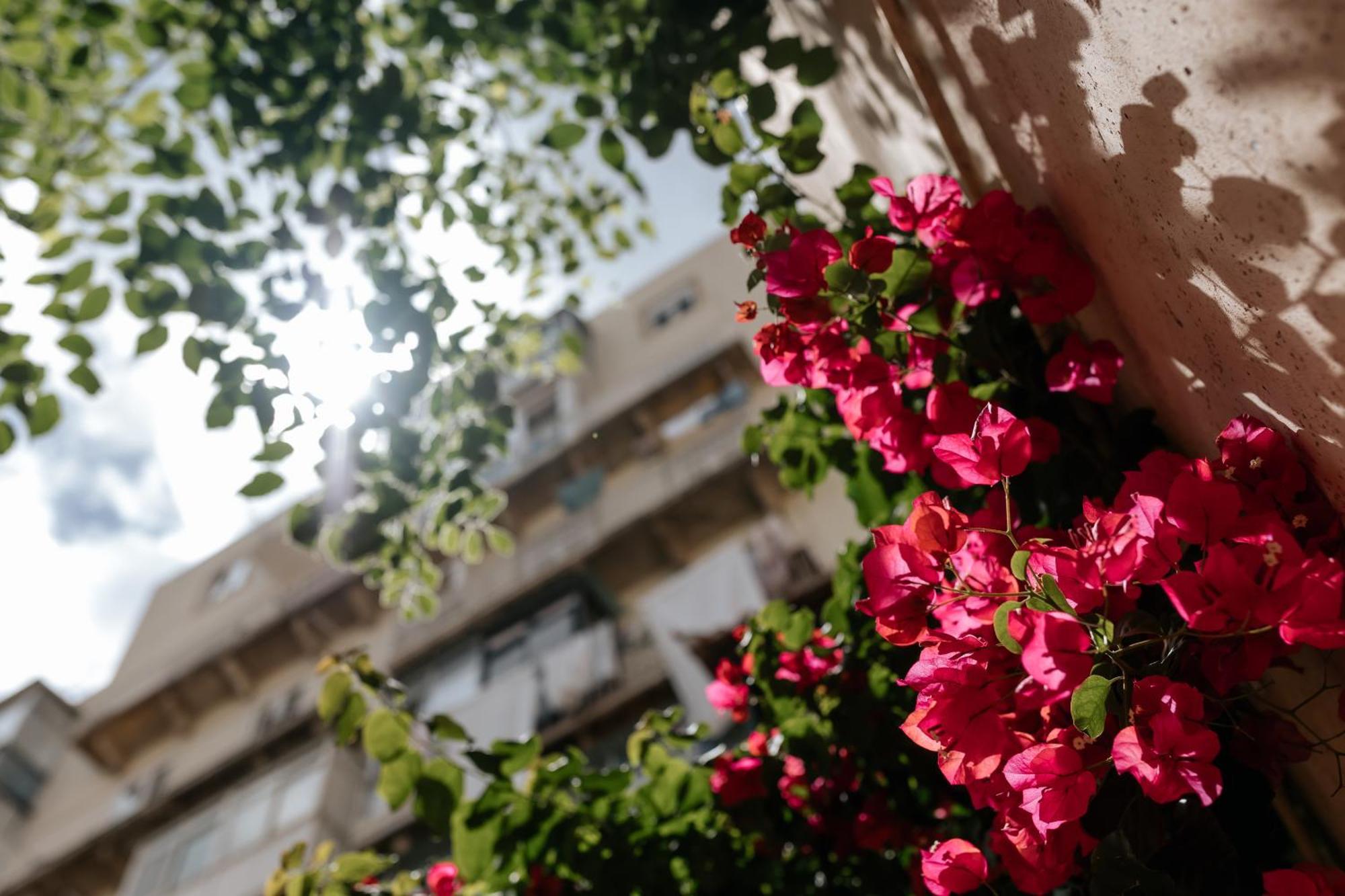 Apartment Diogo's Alcantara I By Mycelia