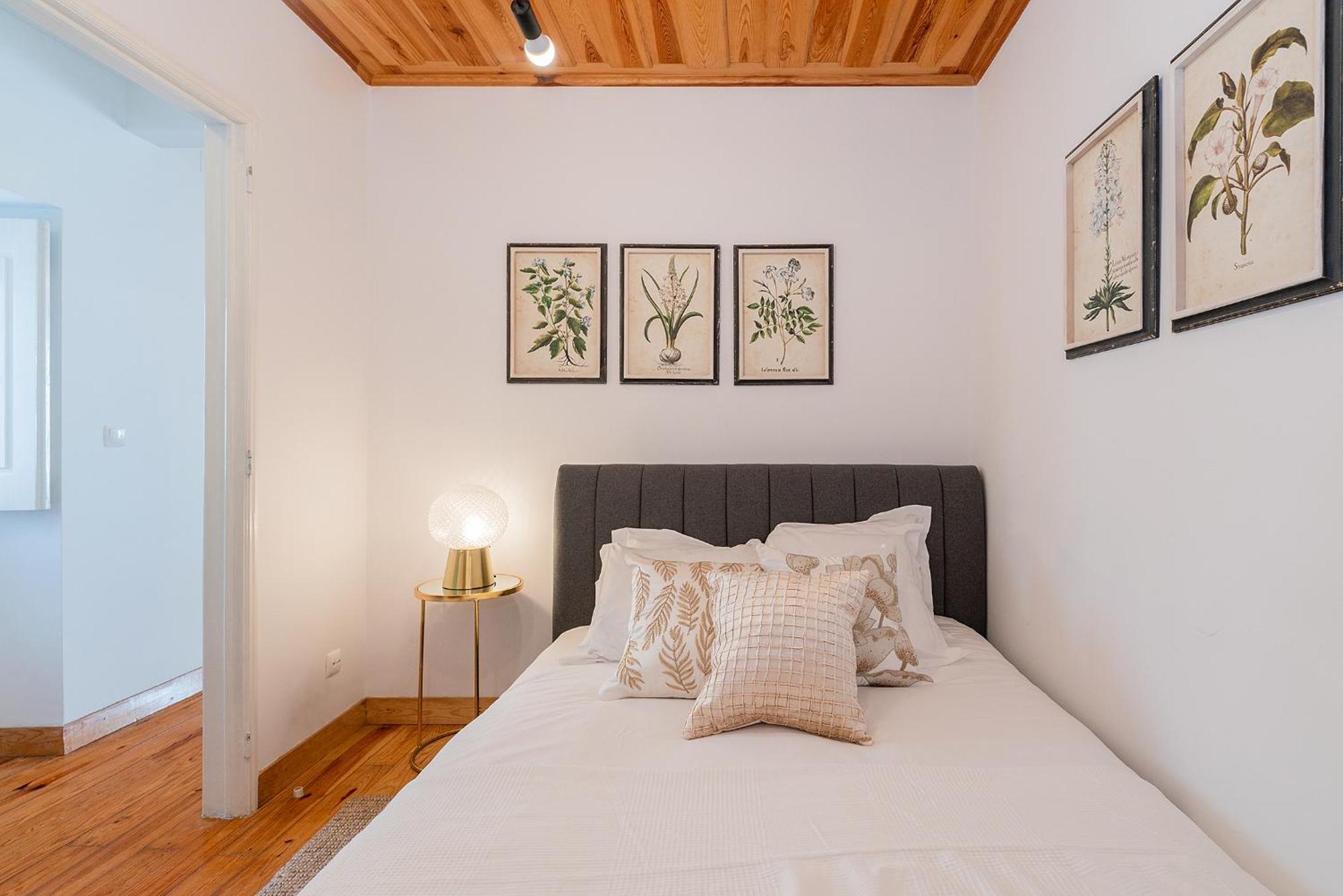 River View 1bdr In Alfama Close To Tram Apartment